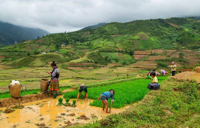 mu cang chai mua nuoc do- anh tran giap 2 mu cang chai mua nuoc do- anh tran giap 2