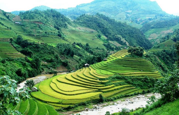 rice terrace – mu cang chai-vietnam_batch mui giay, rice terrace in mu cang chai
