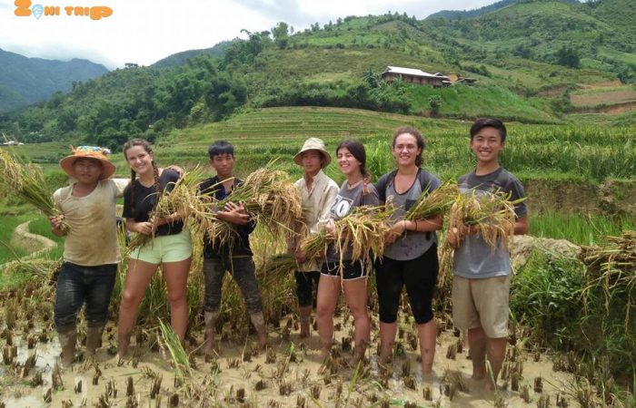 mu cang chai trekking tour 5 mu cang chai trekking tour 5