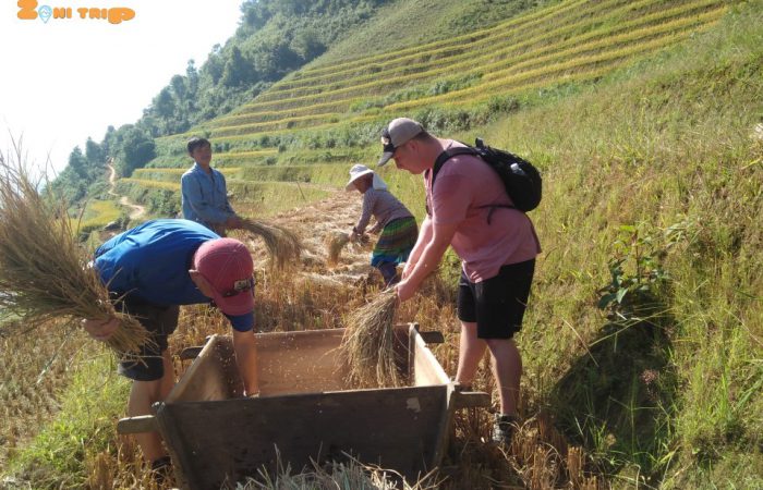 mu cang chai tour
