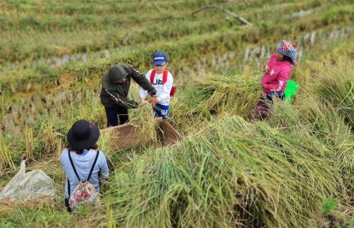 North VIetnam Family Tour