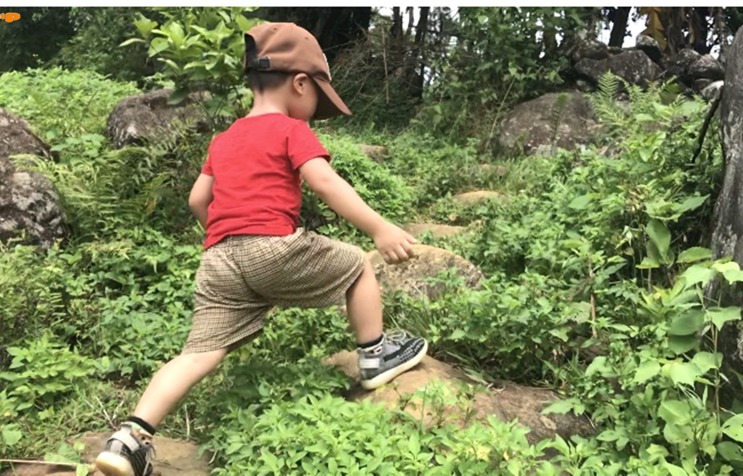 North Vietnam Family Tour