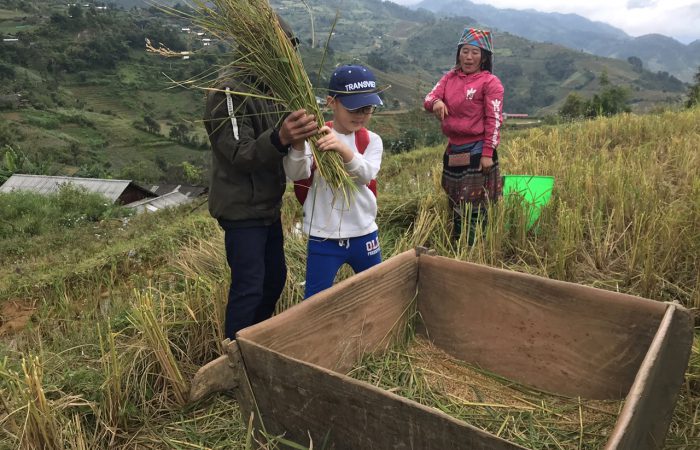 North VIetnam Family Tour North VIetnam Family Tour