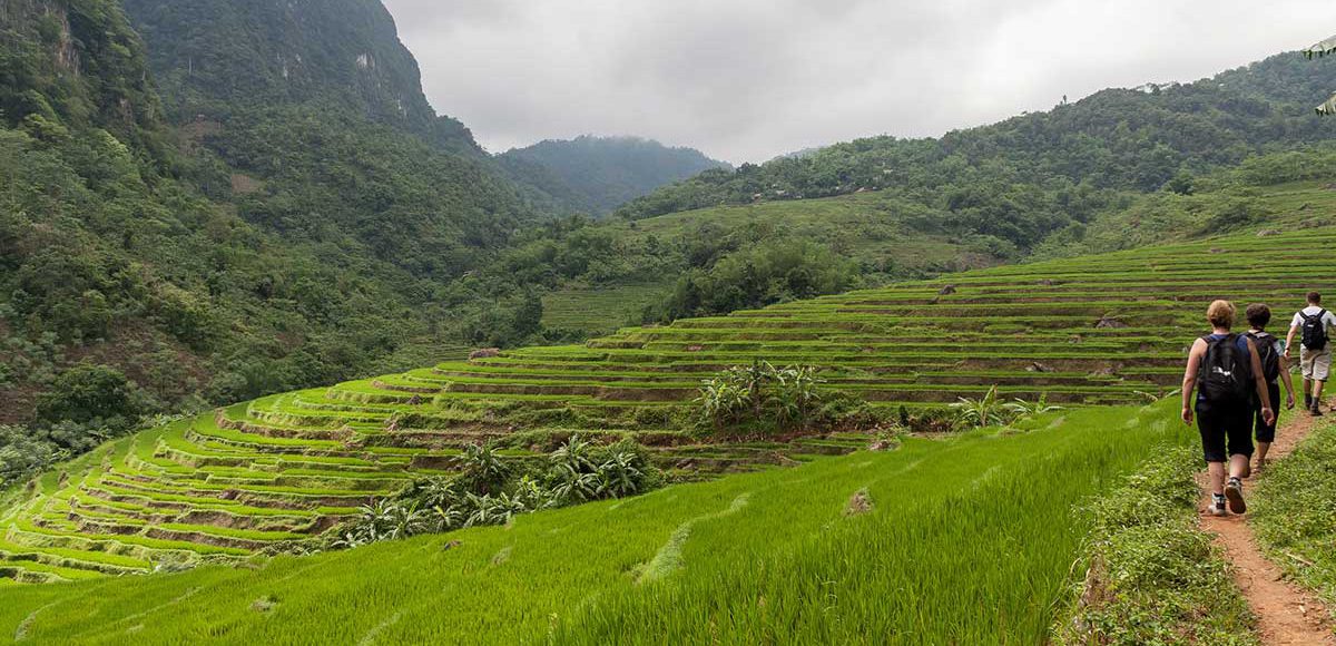 pu-luong-trekking Trekking pu Luong, thanh hoa