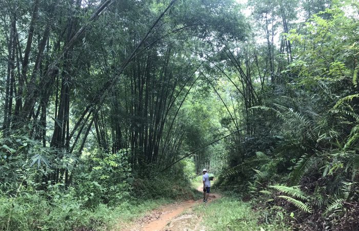 pu luongIMG_1152.zonitrip