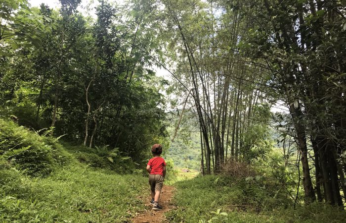 pu luongIMG_1299.zonitrip