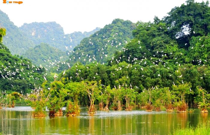 thung nham, ninh binh.zonitrip north vietnam family tour.zonitrip.1