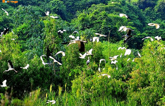vuon-chim-thung-nham-1.zonitrip thung nham, ninh binh.zonitrip
