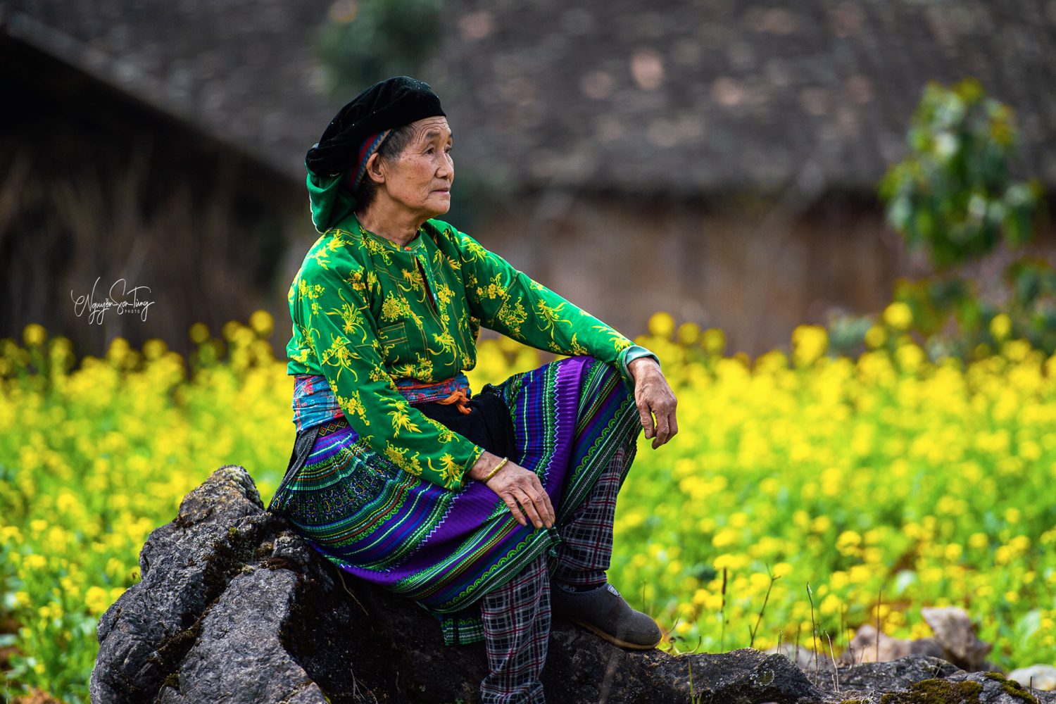 ha giang - ng son tung - zonitrip