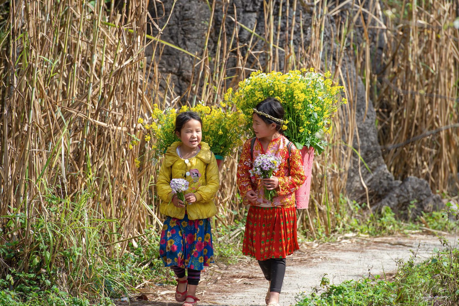 ha giang - ng son tung - zonitrip