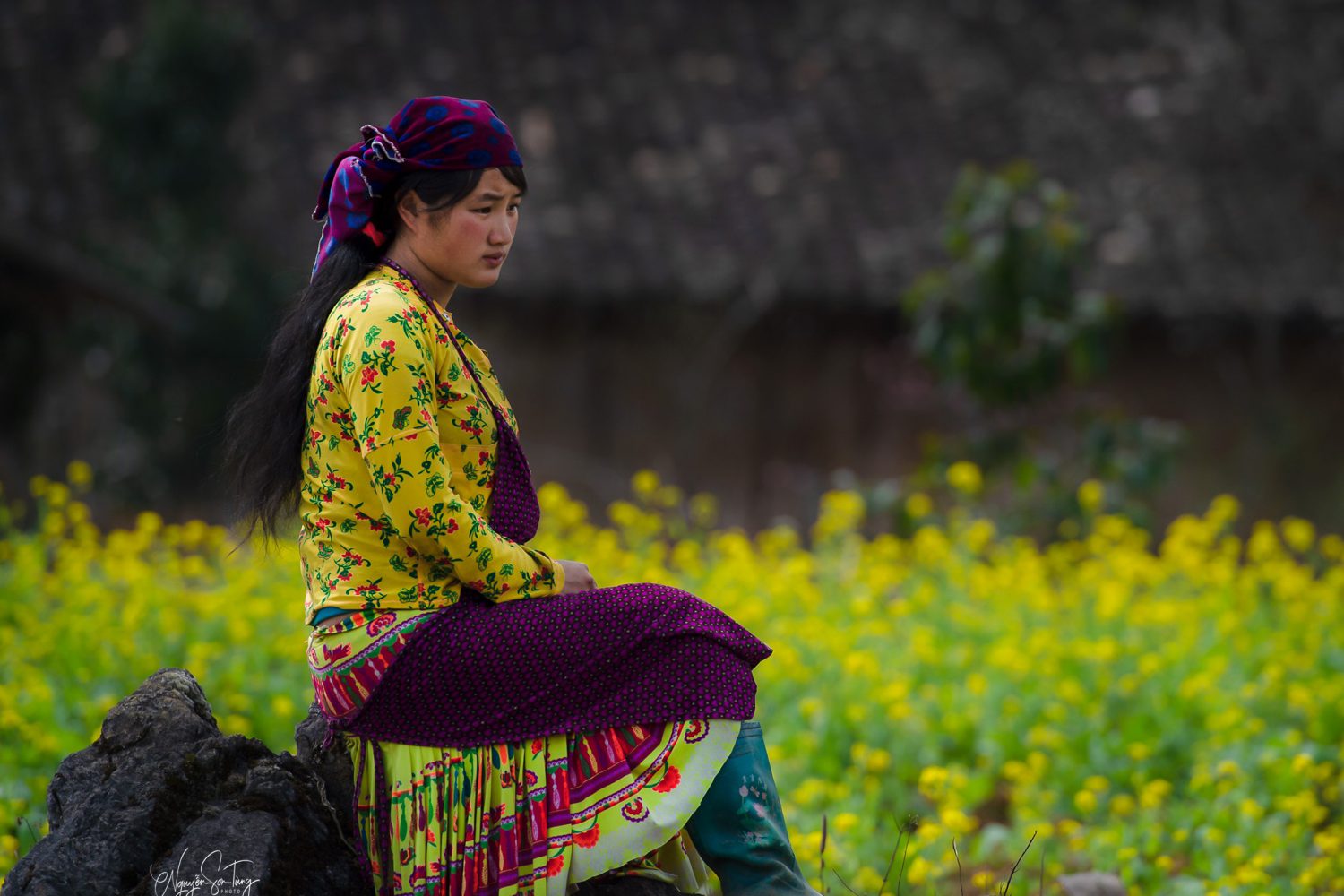 ha giang - ng son tung - zonitrip