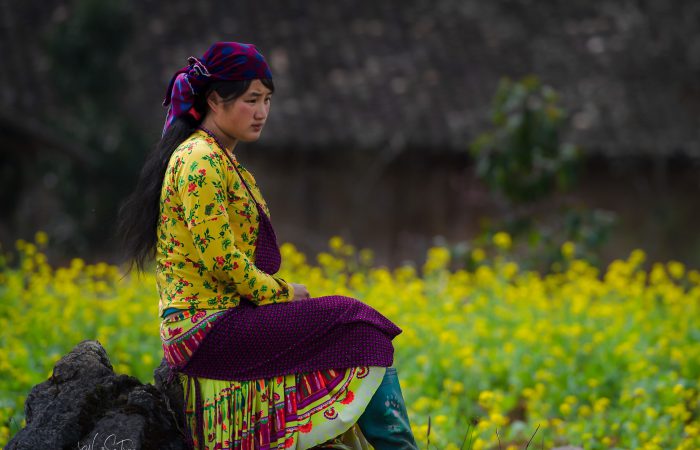 ha giang – ng son tung 2 ha giang - ng son tung - zonitrip