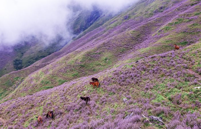 Trekking Tà Chì Nhù