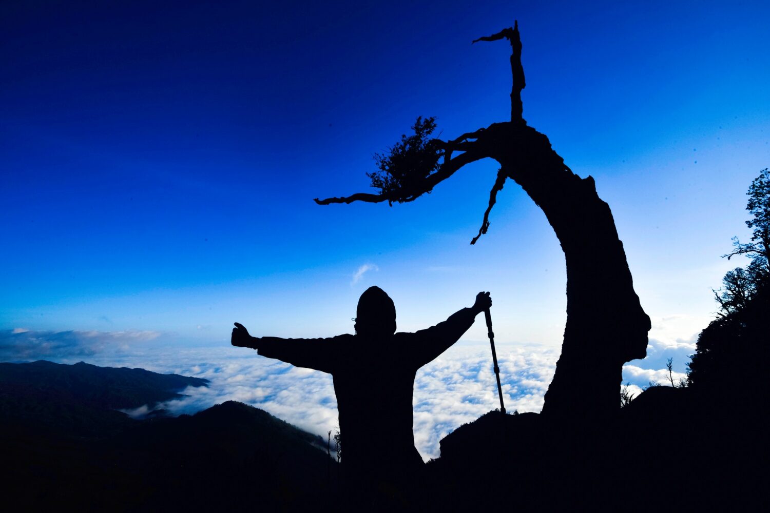 Trekking Fansipan - Lao Than- Zonitrip