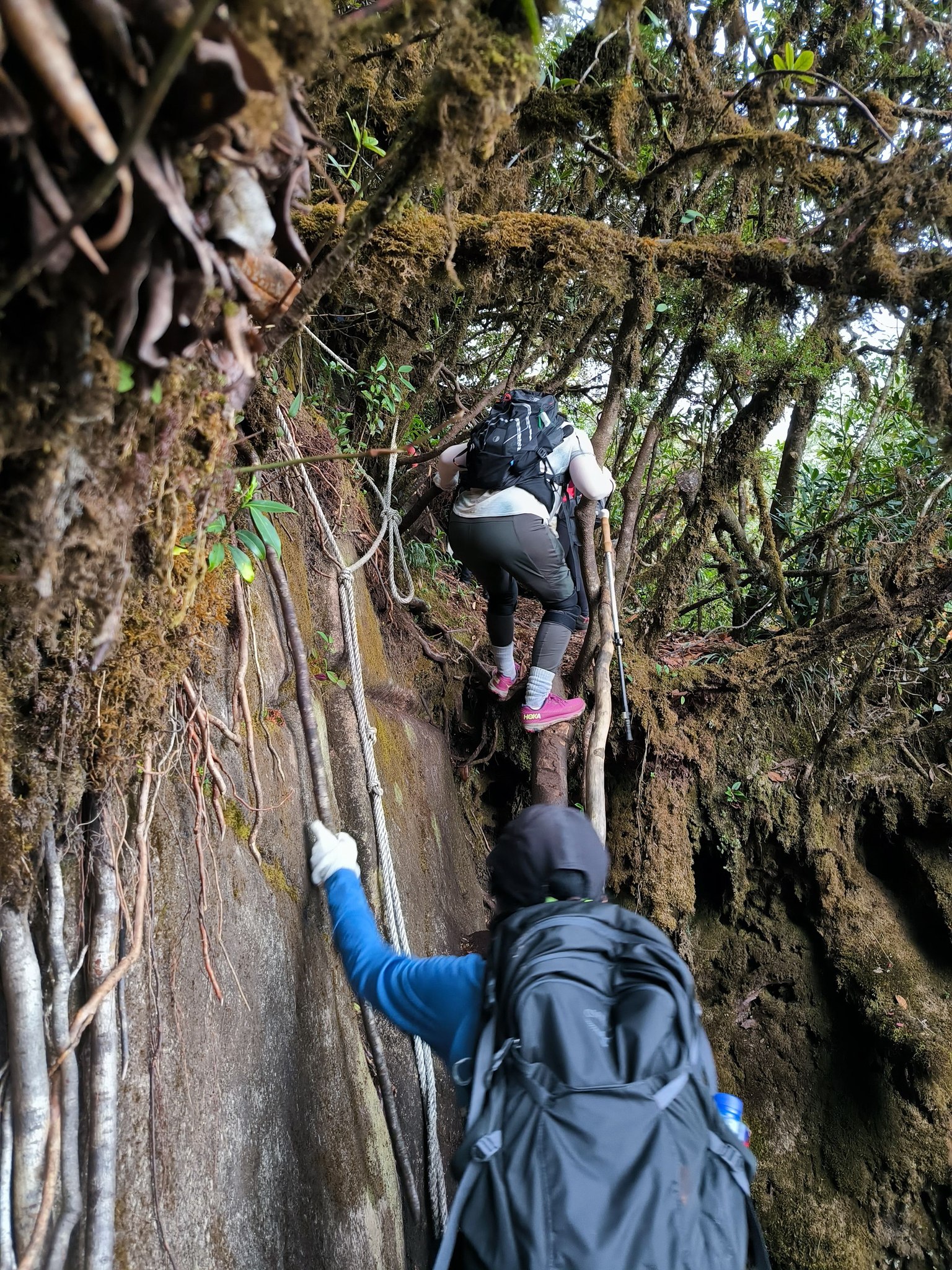 Trekking Mt Ta Lien Son- Zonitrip