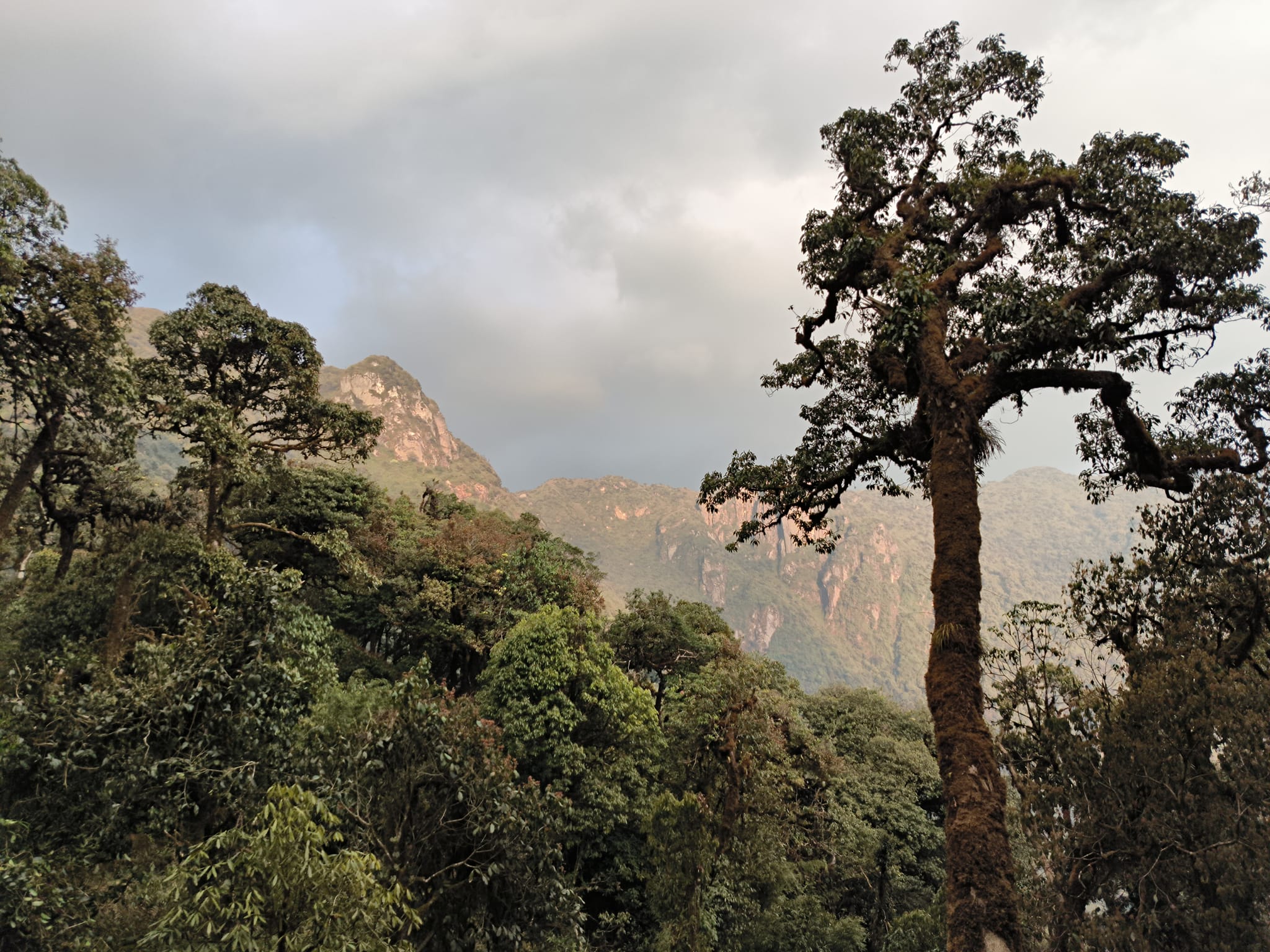 Trekking Mt Ta Lien Son- Zonitrip