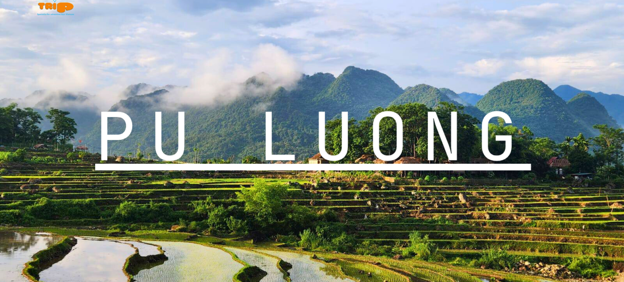 Trekking Pu Luong, North Vietnam -ZONITRIP Trekking Pu Luong, North Vietnam -ZONITRIP 2