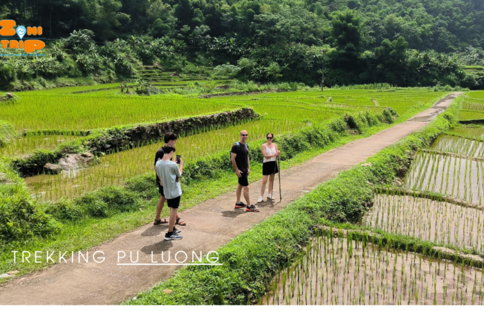 Trekking Pu Luong, North Vietnam -ZONITRIP 3 Trekking Pu Luong, North Vietnam -ZONITRIP 2