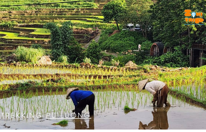 Trekking Pu Luong, North Vietnam -ZONITRIP 4 Trekking Pu Luong, North Vietnam -ZONITRIP 2