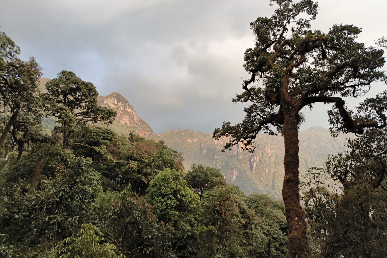 Trekking Ta Lien Son- ZOnitrip