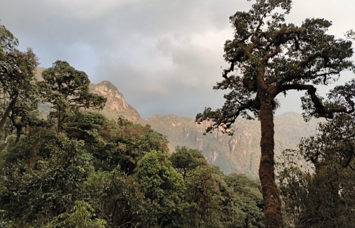 Trekking Ta Lien Son- ZOnitrip Trekking Ta Lien Son- ZOnitrip