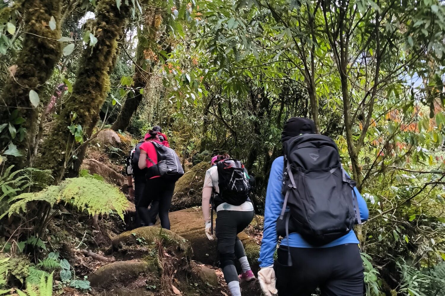 Trekking Ta Lien Son- ZOnitrip