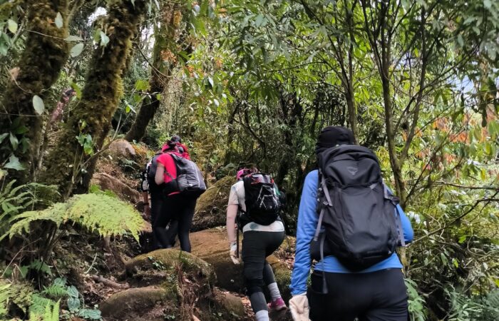 Trekking Ta Lien Son- ZOnitrip Trekking Ta Lien Son- ZOnitrip