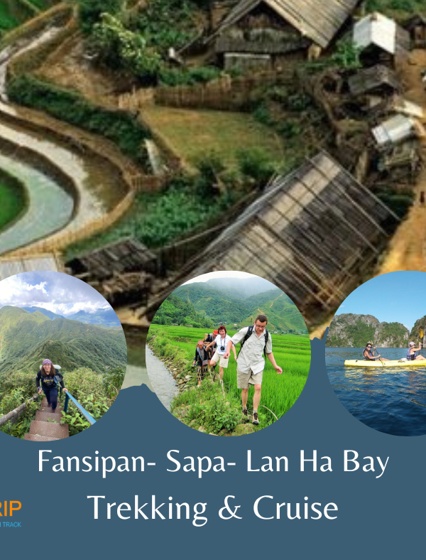 Fansipan- Sapa- Lan Ha Bay tour
