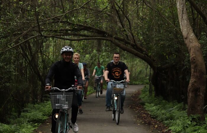 viet hai village 2 in Lan Ha Bay- Zonitrip viet hai village 2 in Lan Ha Bay- Zonitrip