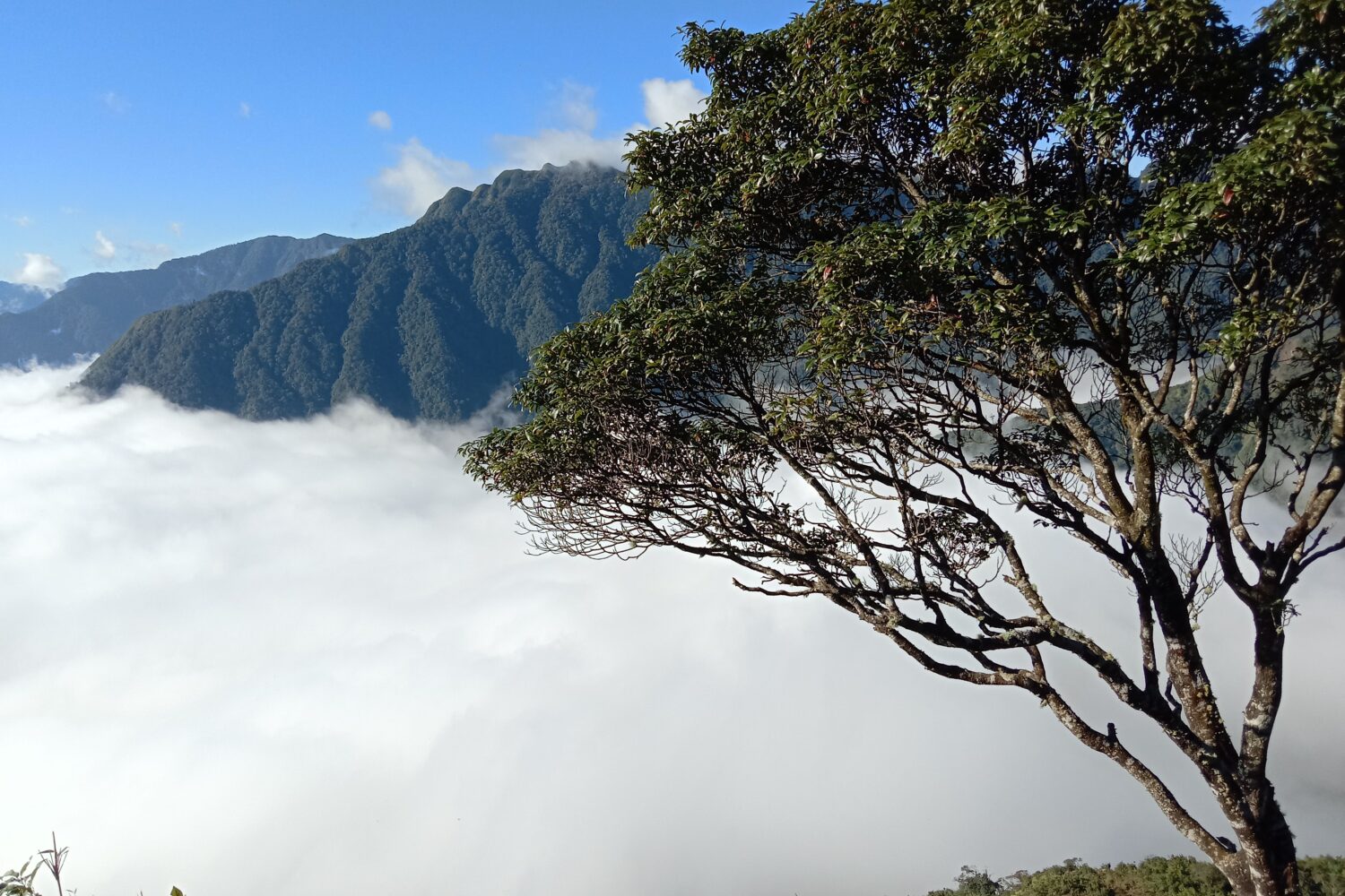 trekking ta chi nhu - zonitrip