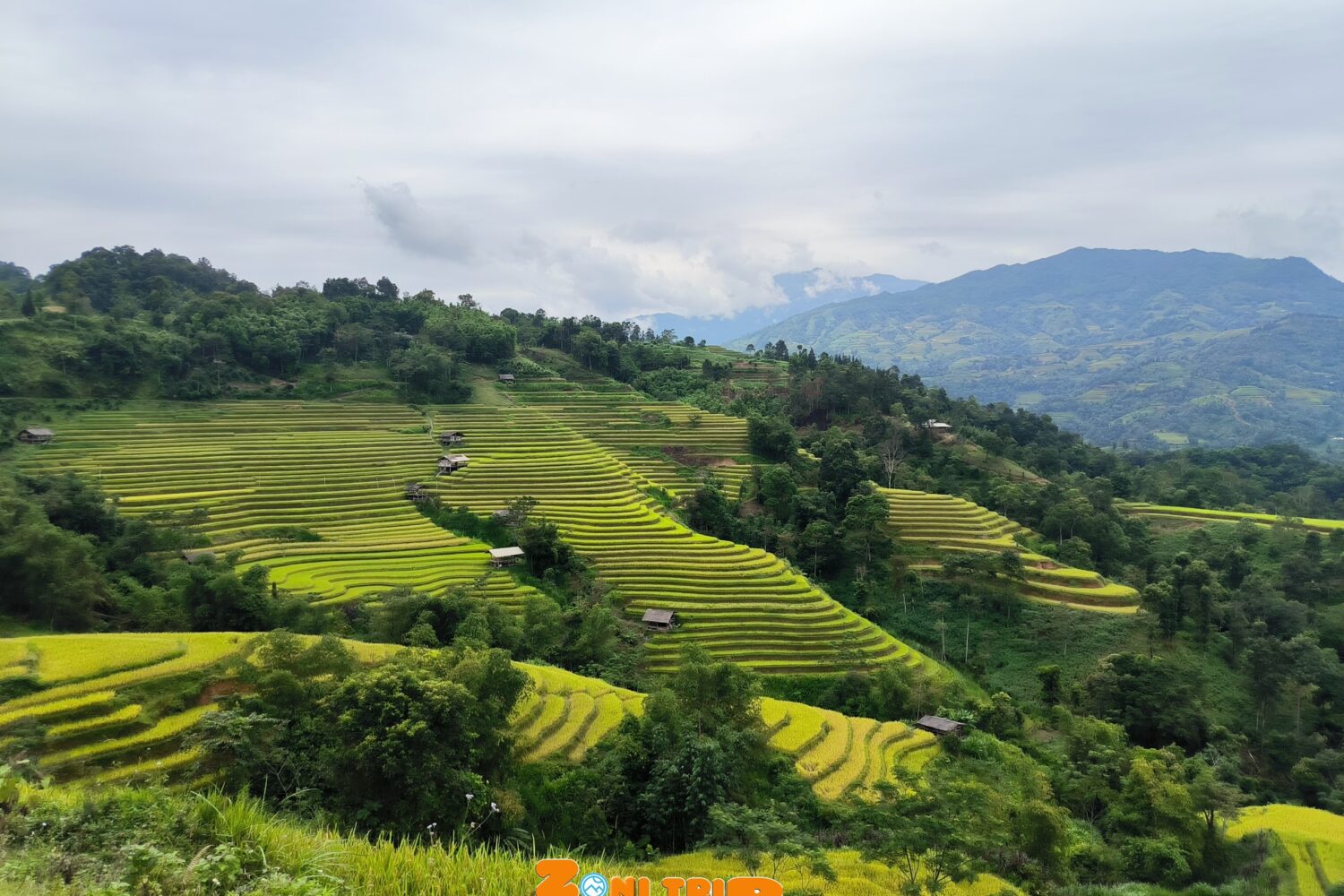 Trekking Hoang su phi- zonitrip