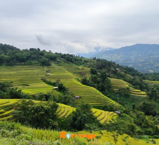 Trekking Hoang su phi- zonitrip
