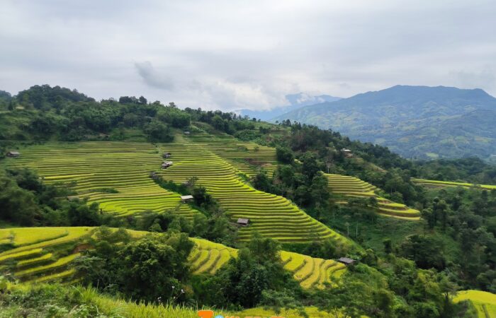 Trekking Hoang su phi- zonitrip Trekking Hoang su phi- zonitrip