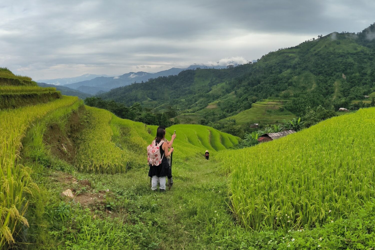 Trekking Hoang su phi- zonitrip