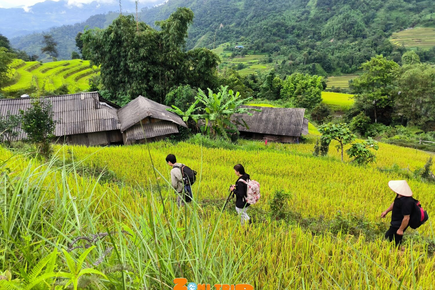 Trekking Hoang su phi- zonitrip