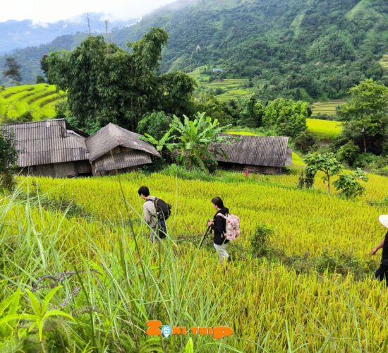 Trekking Hoang su phi- zonitrip