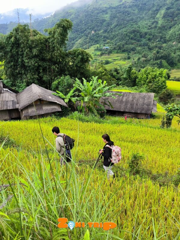 Trekking Hoang su phi- zonitrip