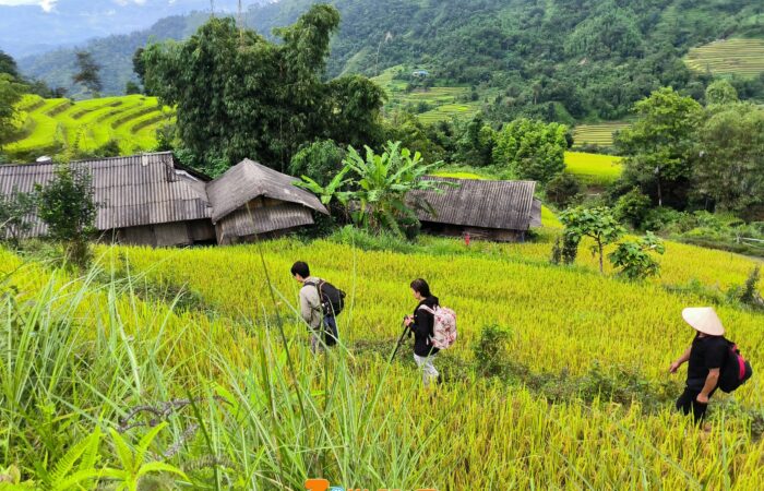 Trekking Hoang su phi- zonitrip Trekking Hoang su phi- zonitrip