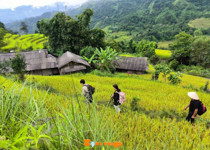 Trekking Hoang su phi- zonitrip