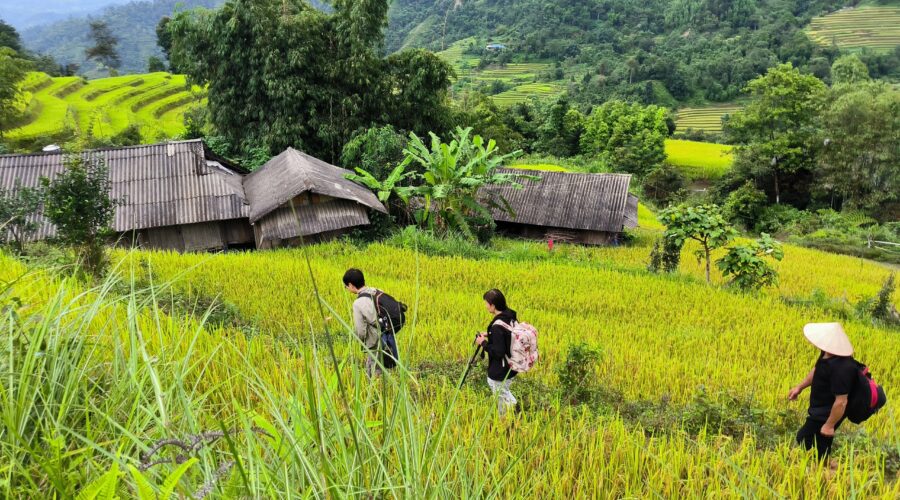 Trekking Hoang su phi- zonitrip