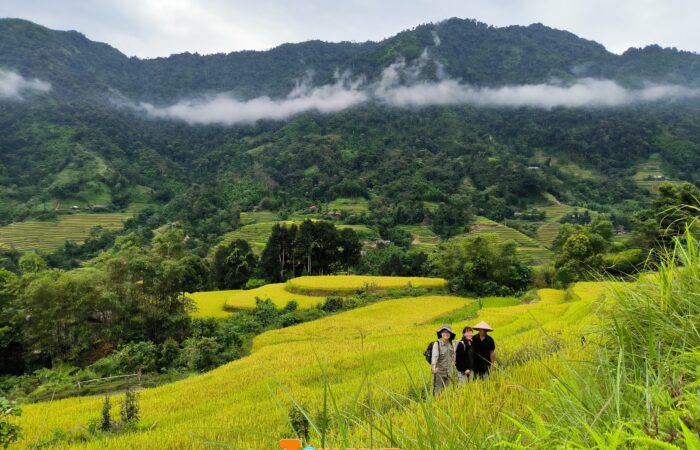 Trekking Hoang su phi- zonitrip Trekking Hoang su phi- zonitrip