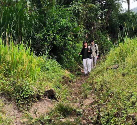 Trekking Hoang su phi- zonitrip