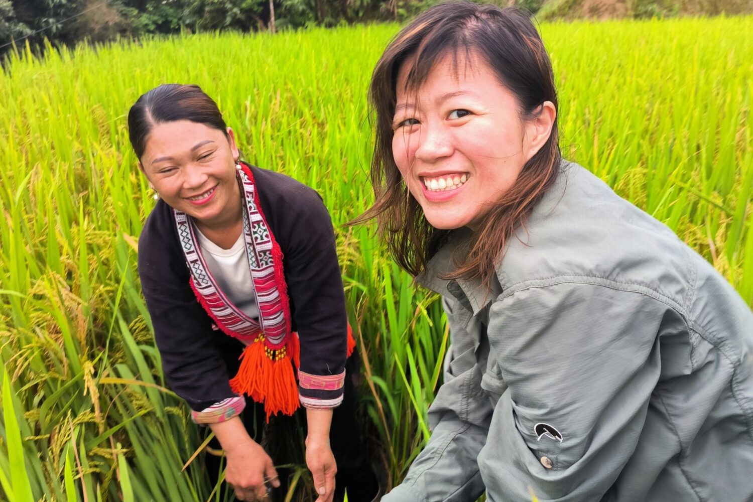 Trekking Hoang su phi- zonitrip
