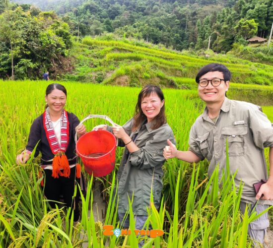 Trekking Hoang su phi- zonitrip
