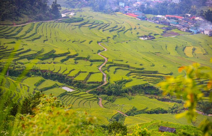 453149589_884543300365104_1848374359187197532_n