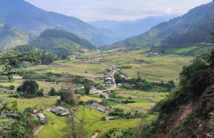 464382082_951641916988575_3600020986527012256_n motorbike tram tau tour