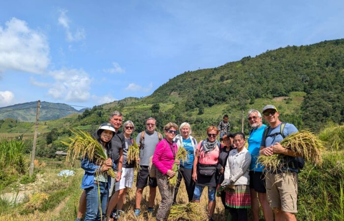 Motorbike Tram Tau tour Motorbike Tram Tau tour