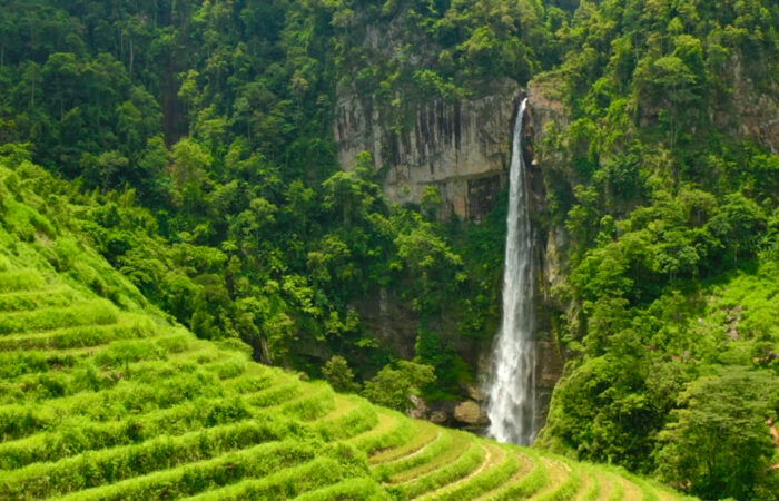 Motorbike Tram Tau tour Motorbike Tram Tau tour