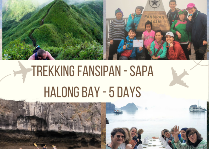 Trekking Fansipan- Sapa- halong bay -anh avatar