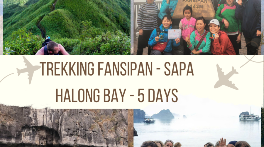 Trekking Fansipan- Sapa- halong bay -anh avatar